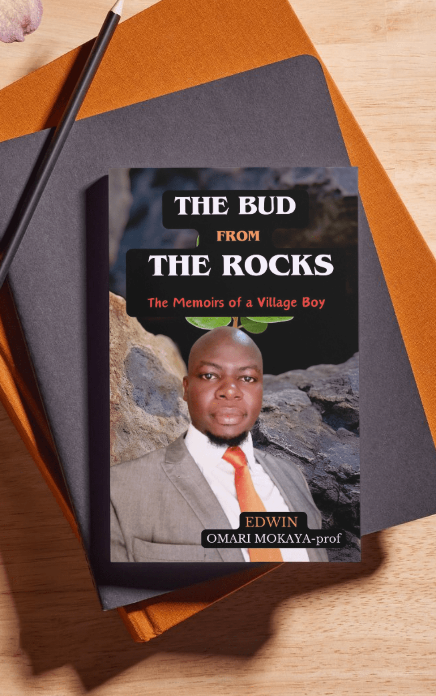 The Bud From the Rocks